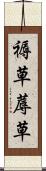 褥草 Scroll