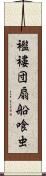 襤褸団扇船喰虫 Scroll