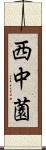 西中薗 Scroll