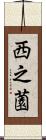 西之薗 Scroll