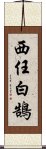 西任白鵠 Scroll