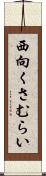 西向くさむらい Scroll