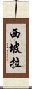 西坡拉 Scroll