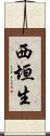 西垣生 Scroll