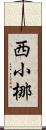 西小梛 Scroll