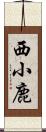 西小鹿 Scroll