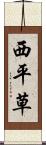 西平草 Scroll