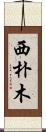 西朴木 Scroll