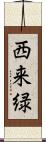 西来緑 Scroll