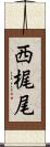 西梶尾 Scroll
