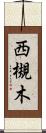 西槻木 Scroll
