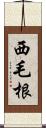 西毛根 Scroll