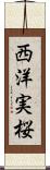 西洋実桜 Scroll