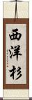 西洋杉 Scroll