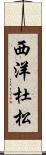 西洋杜松 Scroll