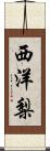 西洋梨 Scroll
