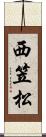 西笠松 Scroll