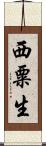 西粟生 Scroll