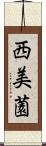 西美薗 Scroll