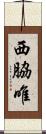 西脇唯 Scroll