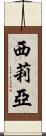 Cilia Scroll