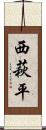 西萩平 Scroll