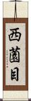 西薗目 Scroll
