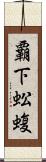 覇下 Scroll