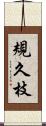 規久枝 Scroll