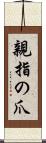 親指の爪 Scroll