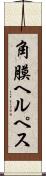 角膜ヘルペス Scroll