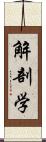 解剖学 Scroll