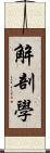 解剖學 Scroll