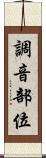 調音部位 Scroll