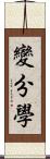 變分學 Scroll