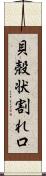 貝殻状割れ口 Scroll