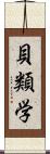 貝類学 Scroll