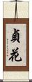 貞花 Scroll