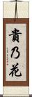 貴乃花 Scroll