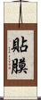 貼膜 Scroll