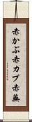 赤かぶ Scroll