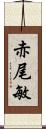 赤尾敏 Scroll