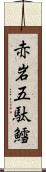 赤岩五駄鱈 Scroll