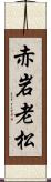 赤岩老松 Scroll