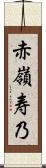赤嶺寿乃 Scroll