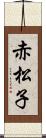 赤松子 Scroll