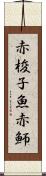 赤梭子魚 Scroll