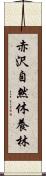 赤沢自然休養林 Scroll