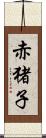 赤猪子 Scroll