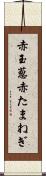赤玉葱 Scroll